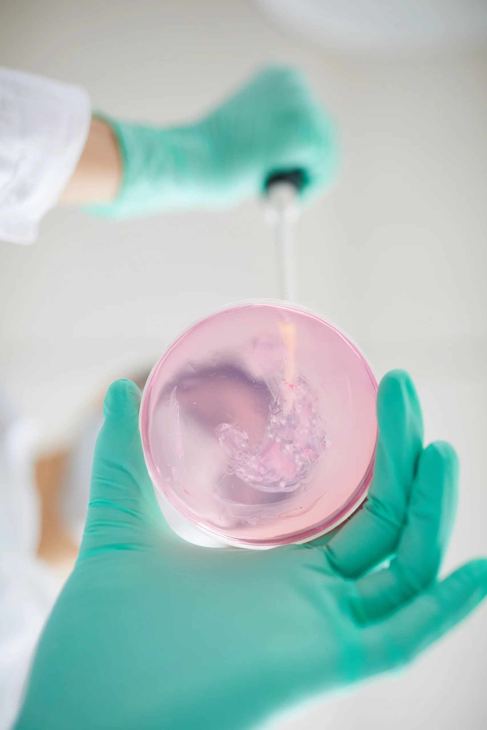 Embryologi Klinis