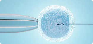 Fertilitas reproduksi