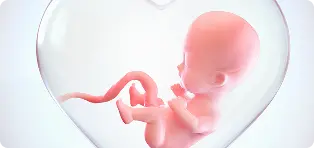 Embryologi Klinis
