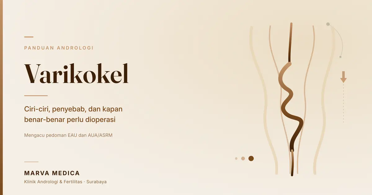 verikokel : Ciri dan Penyebab