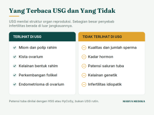 Kondisi yang terlihat di USG seperti miom dan kista ovarium, dibanding yang tidak terlihat seperti hormon dan sperma